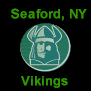 Seaford Vikings Football Team